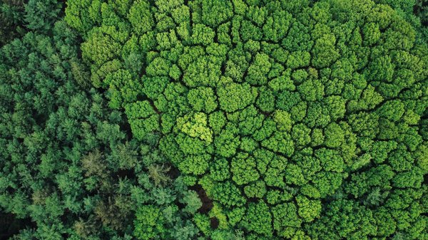 Installation de climatisation : votre solution pour un confort éco-responsable