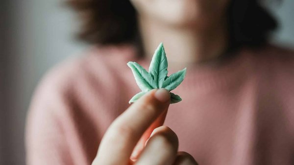 Découvrez comment consommer la fleur de cbd efficacement